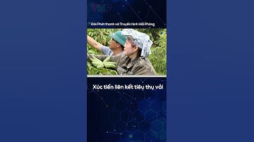 Xúc tiến liên kết tiêu thụ vải