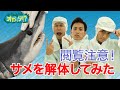 「オガッタ!?」WEB 版 #120（宮城のオガ、みいつけ旅～気仙沼編～）