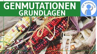 Gene Mutation Basics - Definition, Gene Mutation Types Gene Mutation Categories Explained Simply