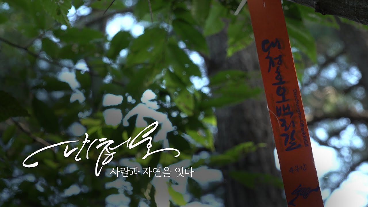 대청호, 사람과 자연을 잇다 │대전블루스 오리지널 다큐멘터리 │EP.02