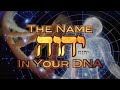 The name of   yhwh  in your dna proof of creation for the end times  yahuwah