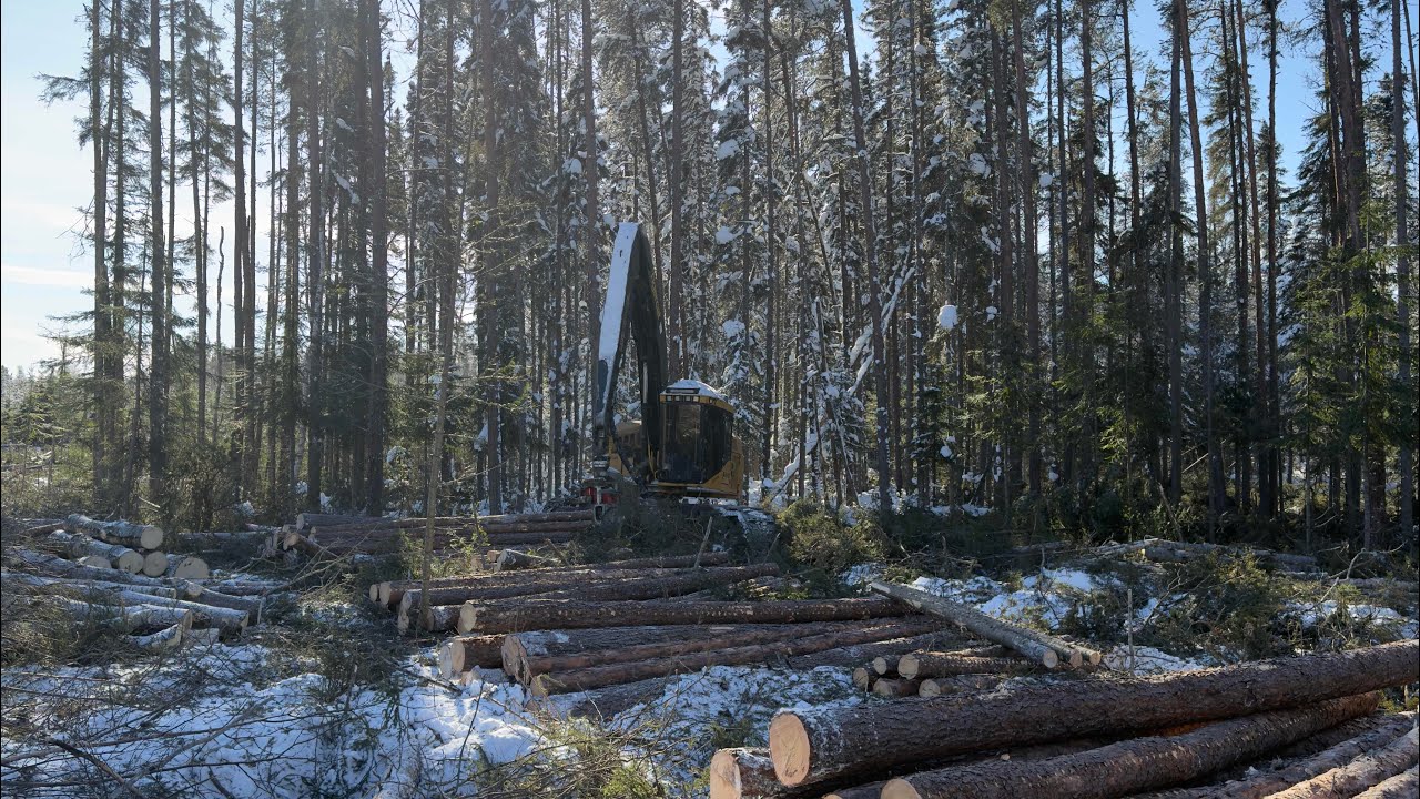 Tigercat 845 Logmax 7000xt