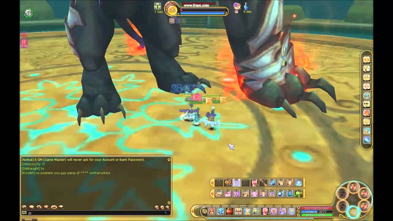 eFlyff - Killing Ankou - Mocomochi Server