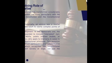 The Role of Amicus Curiae in Constitutional Litigation