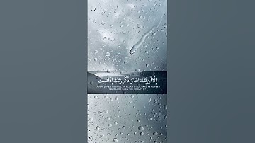 القارئ حسن محيش - مقطع من سورة الكهف