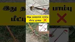 இது தவறான பாம்பு மீட்பு முறை ❌🐍#snake#snakevideo#rescue#snakerescue #cobra#tamilshorts#tamil#bbc