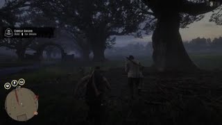 Red Dead Redemption 2 Double Dynamite Kill