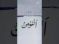 "Al-Mominu"In Arabic Calligraphy With Qalam #calligraphy