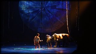 Цирк дю Солей Фрагмент Выступления Люсия (Cirque du Soleil Luzia 2017)