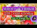 ТОП 10 Многолетников, Которые Пышно ЦВЕТУТ Без Полива 🌈🌞  Для Солнечной Клумбы 🌹 САМЫЕ Эффектные 👍💕