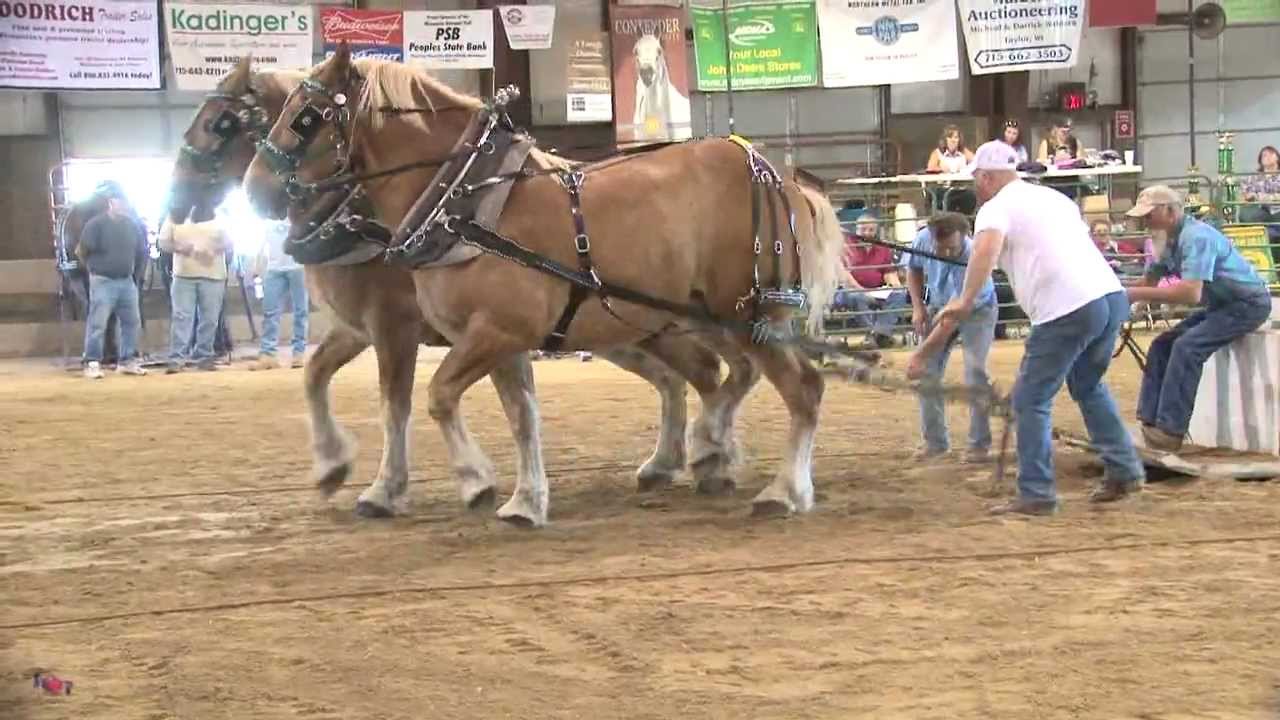 Menomonie Wisconsin_Horse_PullSeptember 2012.mpg YouTube