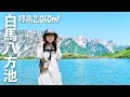 北アルプス【白馬八方池】リフトで絶景ハイク！天空のサウナも♡