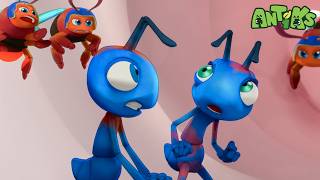 Joey and Boo Turn Blue! 🐜 | Antiks | Kids Cartoons | Tiny Dance Club