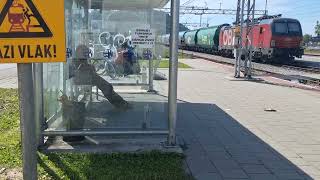 VECTRON LOC 373 - VECTRON 1293 088 ÖBB + cereales vagoni HŽ kolodvor Zaprešić.HR