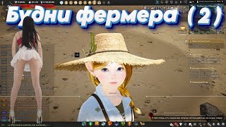 Black Desert. Shai. Шай.  Будни Фермера (2). Беру Грандмастер 3