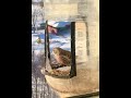 Чечетка. Redpoll bird