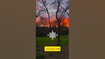 تلاوة خاشعة تهز القلوب من سورة القيامة | بصوت القارئ عصام