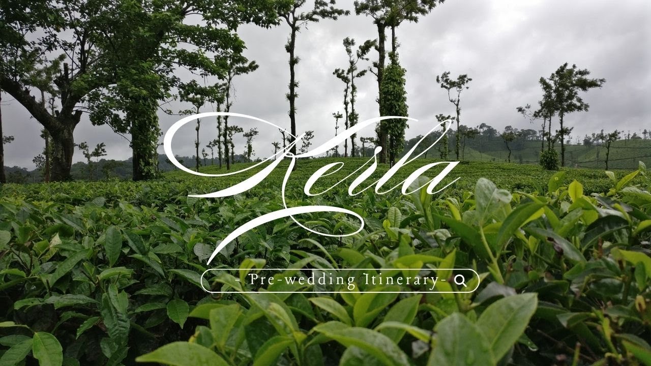 Romantic Kerala Pre-Wedding Itinerary | Love in God's Own Country | Locations | Theme | Pricing 💰