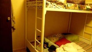 Spooky On Bunkbed Ladder