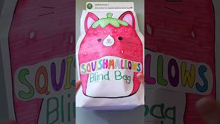 Squishmallows Blind Bag     