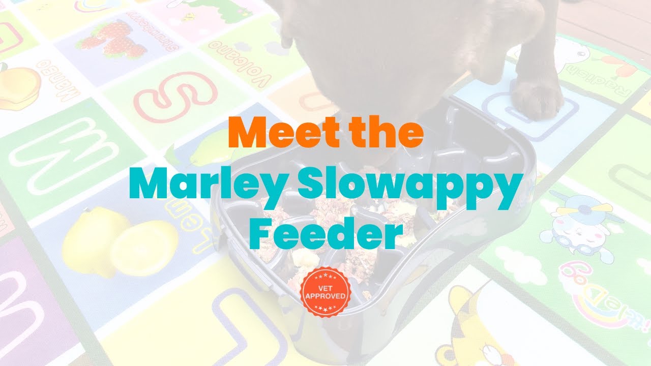 Marley Slowappy Slow Feeder Bowl - Super Feedy