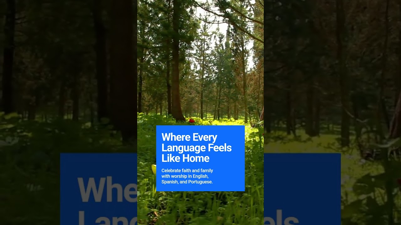 Celebrate Together at Family Church Events