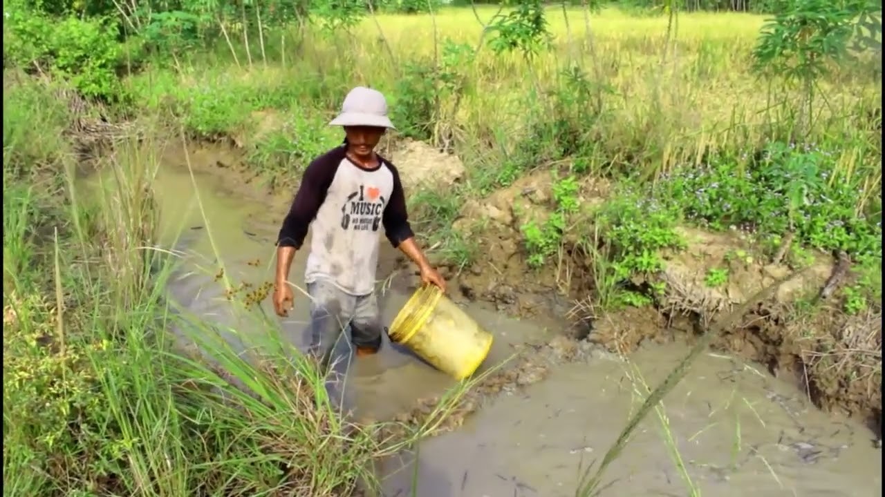 wow Amazing Fishing - Cambodia Traditional fishing - How to Catches Fish (Part 128)