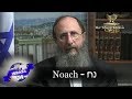 Weekly Torah Portion: Noach