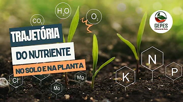 Como repor nutrientes no solo?