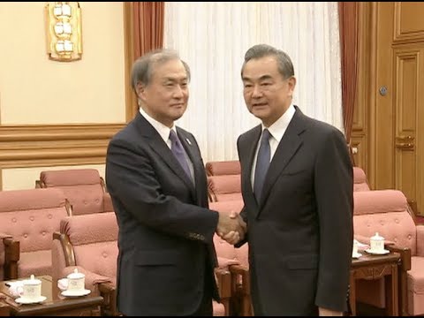 Chinese FM Meets with Japanese Vice FM wang yiren height