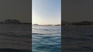 Сочи море рядом. freediving. Снять квартиру