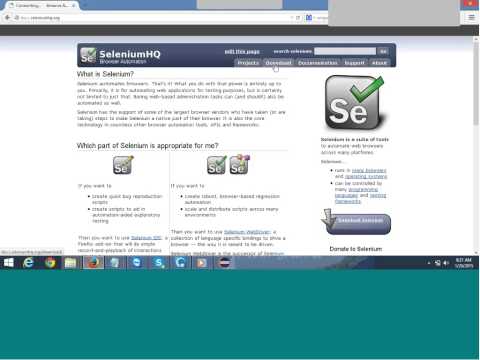 Selenium Training Day
