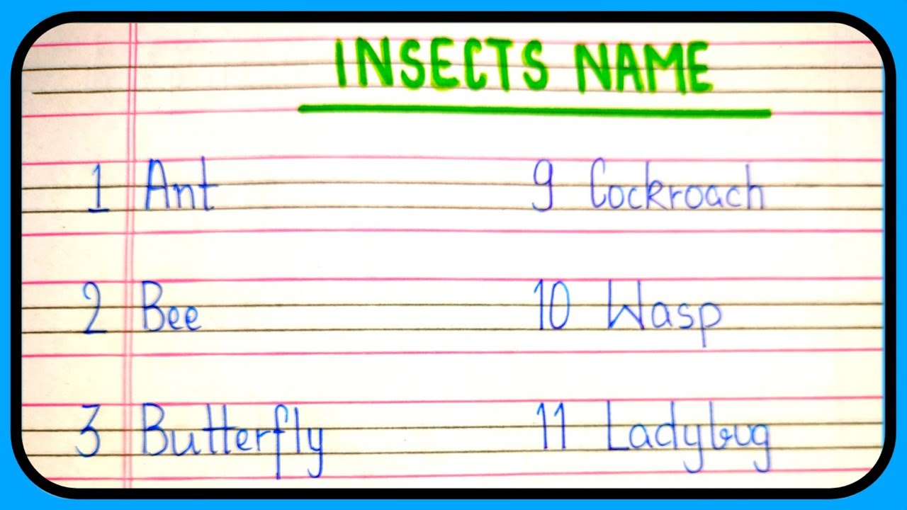 Insects name in english | Insects ke naam | List of insects name | 10 insects name in english