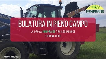 Bulatura in pieno campo: gestione sostenibile delle colture dal progetto H2020 IWMPRAISE