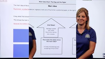 Lesson 17 Main Idea_ Guided Writing