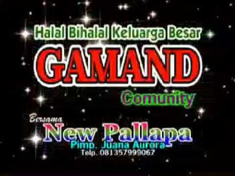 CINTA ABADI - DWI RATNA \u0026 AGUNG JUANDA - OM. NEW PALLAPA LIVE GAMAND