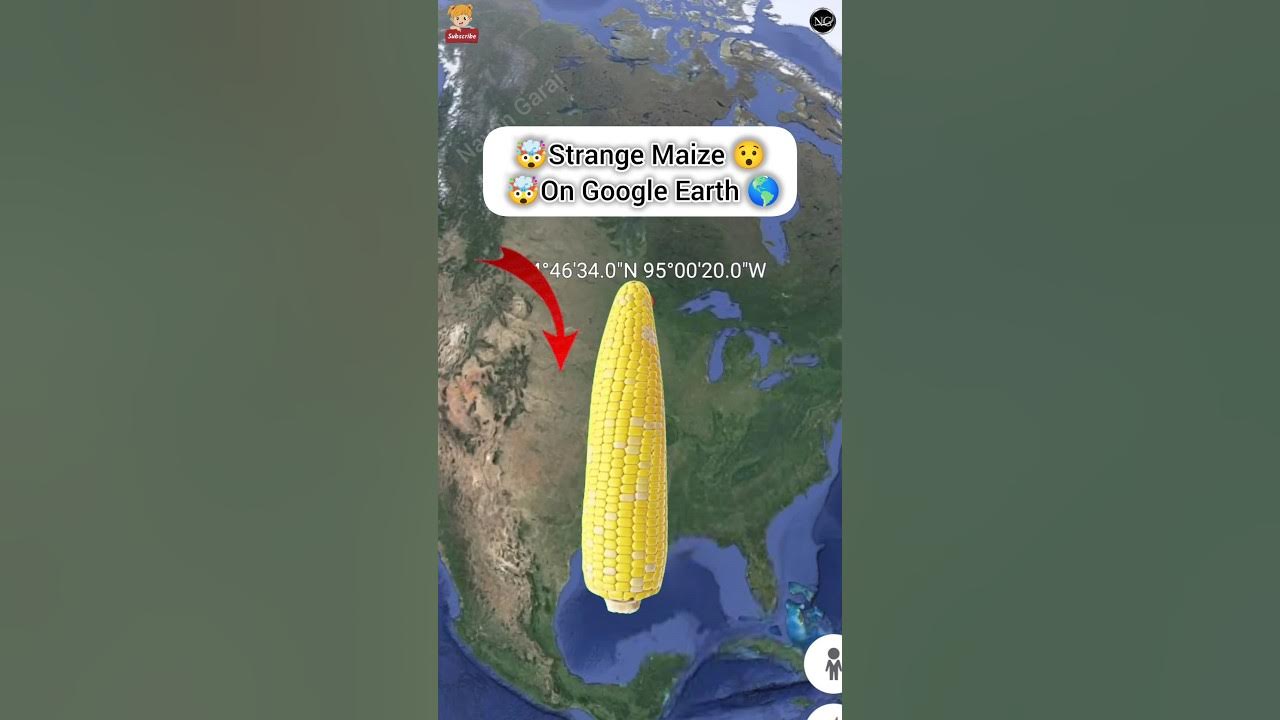 I Found Giant Strange Maize On Google Earth and Google Maps🌎 shorts earth map viral YouTube