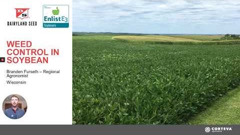 Weed Control in Soybeans: Use a Complete Program!