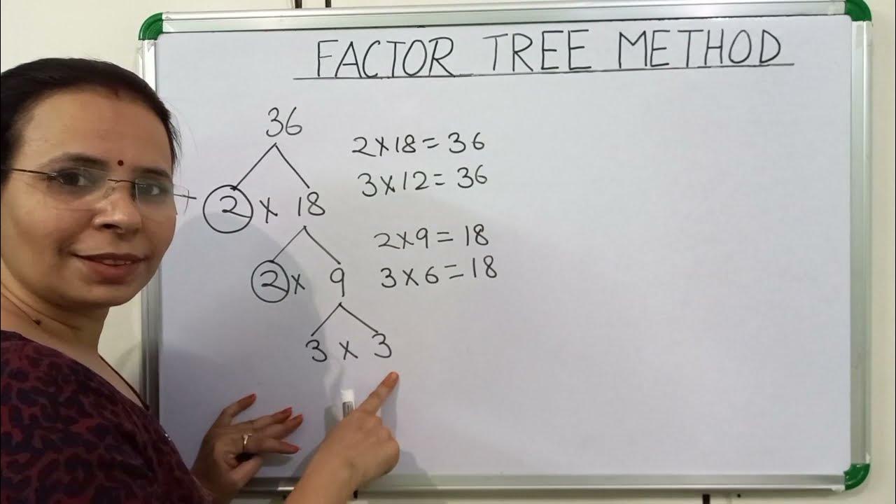 Factor Tree Method || How to find prime factors using factor tree ...