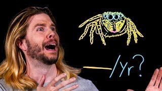 How Many Spiders Do You Swallow in Your Sleep? | Because Science Live!