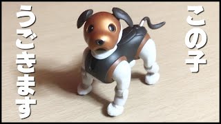 【aibo アクションフィギュア】動かせるaiboのフィギュアが結構いいクオリティな件【ガチャガチャ】