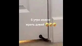 V S