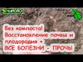 ЗА 1 РАЗ БИОАКТИВАЦИЯ ПОЧВЫ И УНИЧТОЖЕНИЕ БОЛЕЗНЕЙ. Все болезни из огорода ПРОЧЬ! Метод ПРОВОКАЦИЯ.