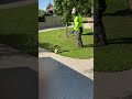 Backyard 🍀mowing #viral #lawn #mowing #satisfying @shubylawnsandgardens