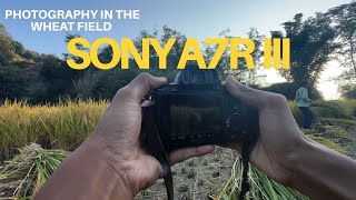 Portrait Photography In The Wheat Field  Sony A7r Iii  Sigma 2470mm U0026 50mm
