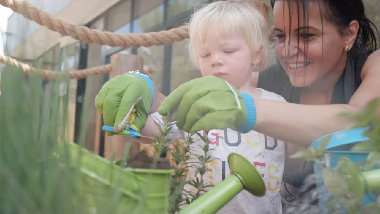 The Hive Early Learning Centre Geelong YouTube The Hive Early Learning Centre Geelong YouTube