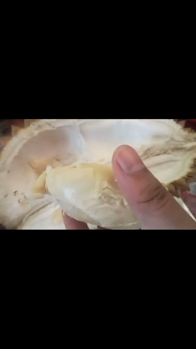 Yummy Durian #viral #delicious