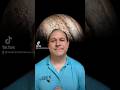 Jupiter's Role in the Solar System