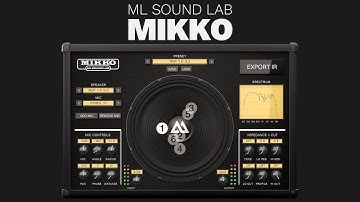 ML Sound Lab: MIKKO | Next Gen Cab Sim