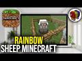 How To Get A RAINBOW SHEEP in Minecraft Bedrock & Java